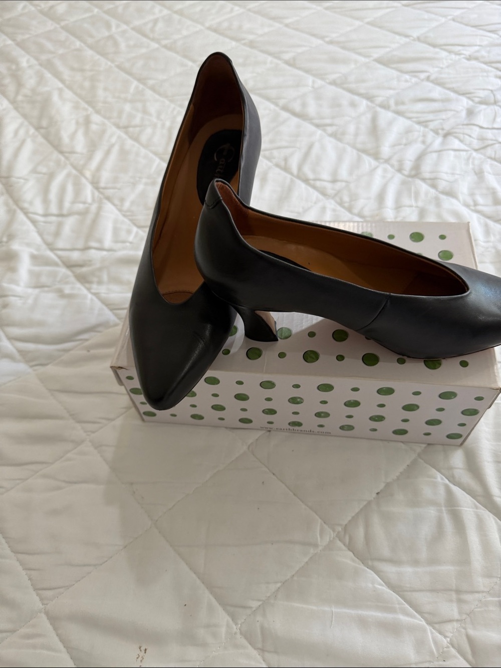 Earthies Black Pointed-Toe Leather Pumps